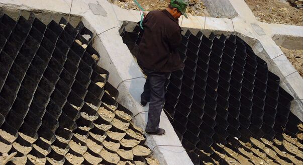 ����������Ҫ��;