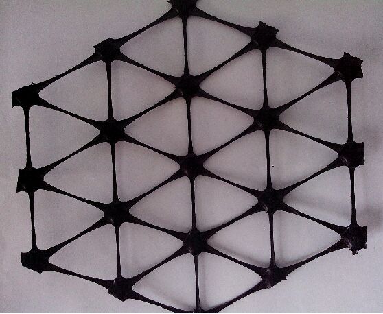 ���(xi��ng)�����������